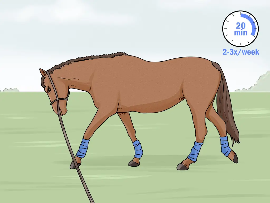 Как сделать выпад лошади (с иллюстрациями)