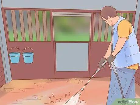 Посадите лошадь в новое окружение Шаг 1