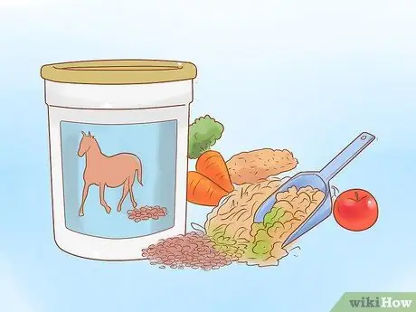 Посадите лошадь в новое окружение, шаг 2