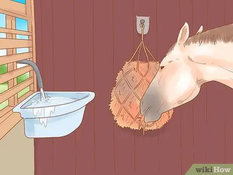 Посадите лошадь в новое окружение Шаг 4