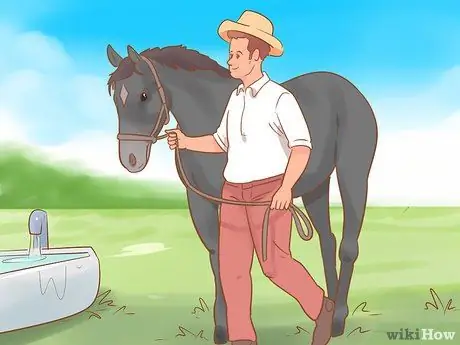 Посадите лошадь в новое окружение Шаг 5