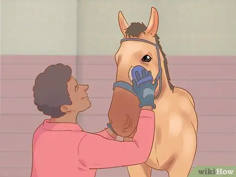 Посадите лошадь в новое окружение Шаг 6