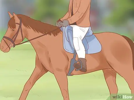 Посадите лошадь в новое окружение Шаг 7