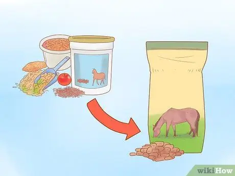 Посадите лошадь в новое окружение Шаг 8