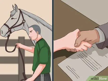 Купить скаковую лошадь Step 7