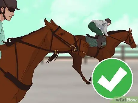 Купить скаковую лошадь Step 8