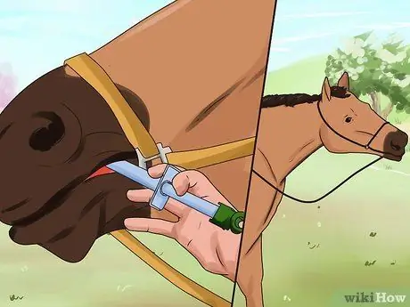 Deworm a Horse Шаг 7 Deworm a Horse Шаг 7