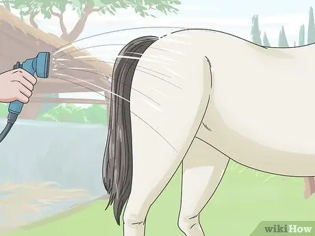 Очистить лошадь Шаг 10