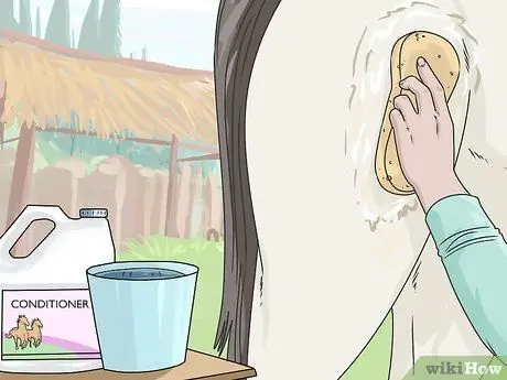 Очистить лошадь Шаг 11