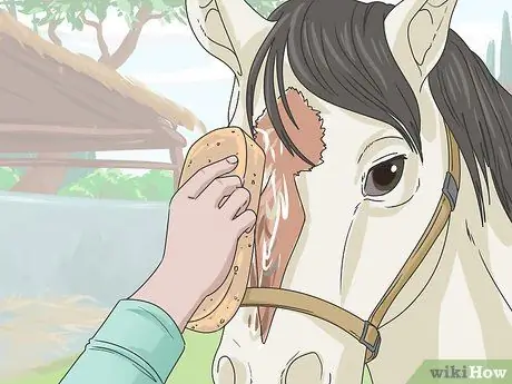 Очистить лошадь Шаг 12