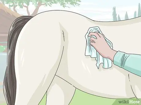 Очистить лошадь Шаг 13