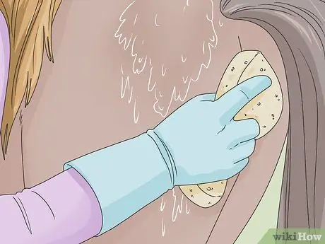 Очистить лошадь Шаг 15