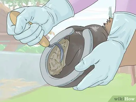 Очистить лошадь Шаг 16