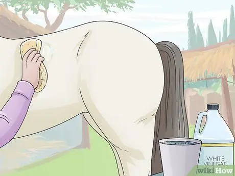 Очистить лошадь Шаг 18