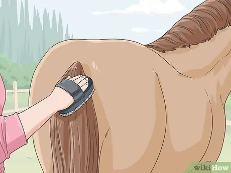 Очистить лошадь Шаг 3