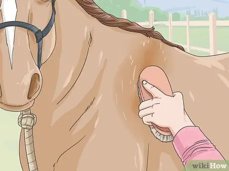 Очистить лошадь Шаг 4