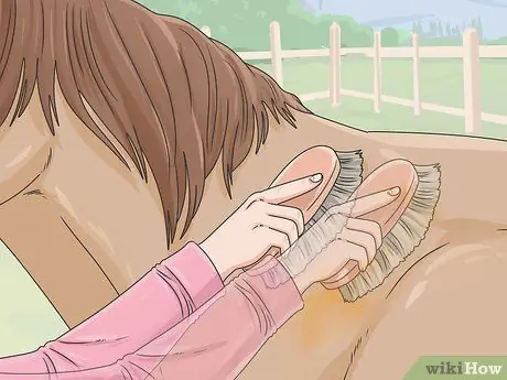 Очистить лошадь Шаг 5