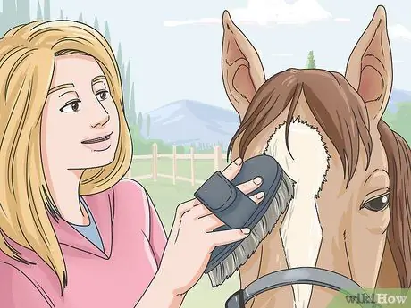 Очистить лошадь Шаг 6