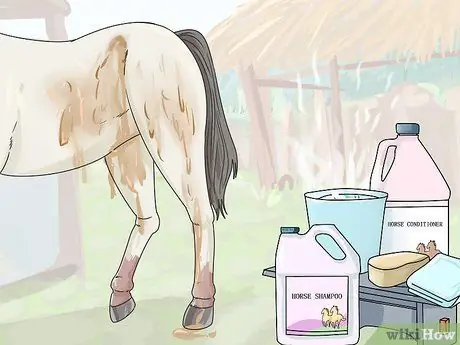 Очистить лошадь Шаг 7
