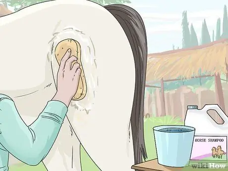 Очистить лошадь Шаг 9