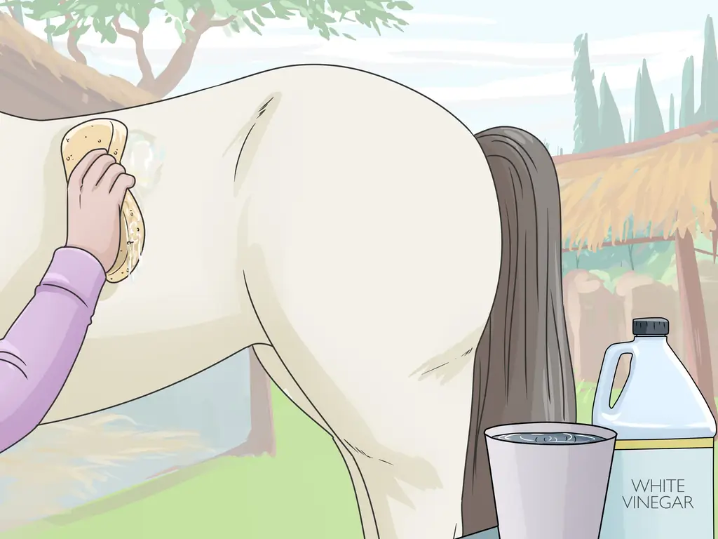 3 способа почистить лошадь