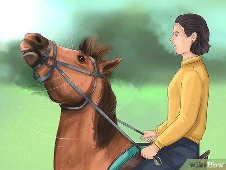 Понять общение с лошадьми, шаг 7