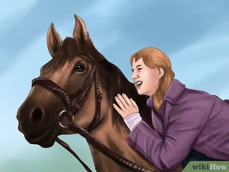 Научите лошадь пиаффе, шаг 3