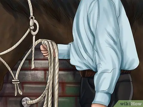 Научите лошадь пиаффе Шаг 4