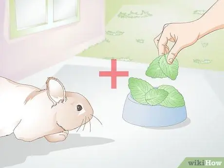 Уход за кроликами-инвалидами Шаг 10