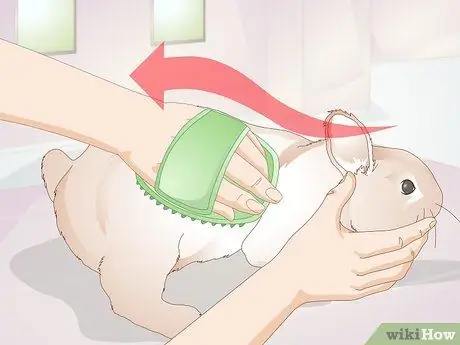 Уход за кроликами-инвалидами Шаг 13