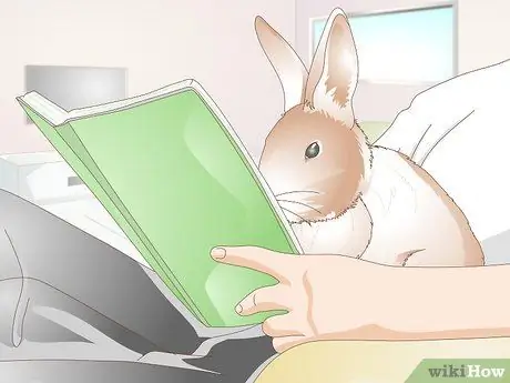 Уход за кроликами-инвалидами Шаг 16