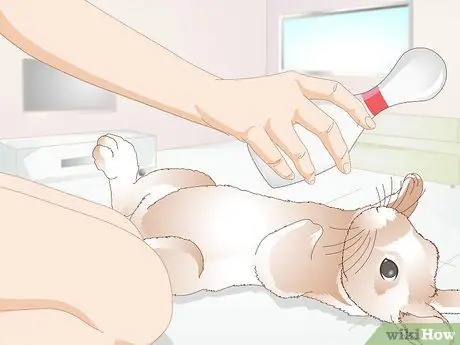 Уход за кроликами-инвалидами Шаг 17