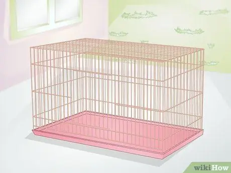 Уход за кроликами-инвалидами Шаг 4