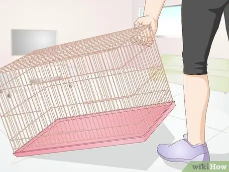 Уход за кроликами-инвалидами Шаг 5