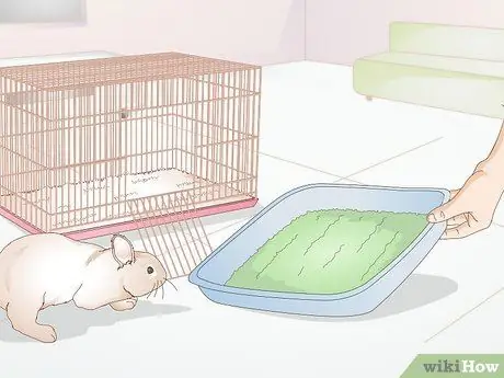 Уход за кроликами-инвалидами Шаг 7