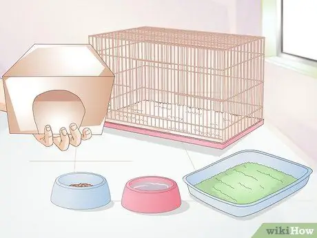 Уход за кроликами-инвалидами Шаг 8