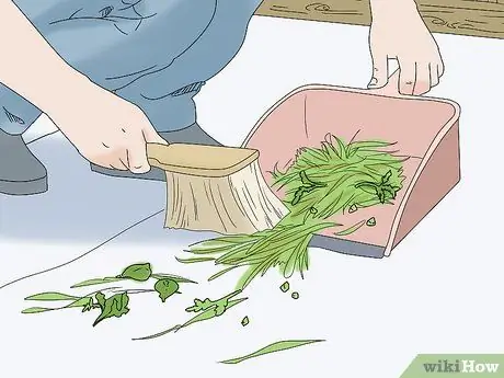 Держите кролика здоровым Шаг 13