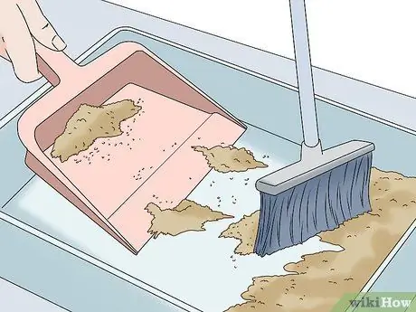 Держите кролика здоровым Шаг 14