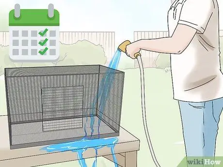 Держите кролика здоровым Шаг 16