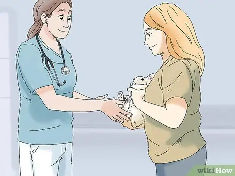 Держите кролика здоровым, шаг 4