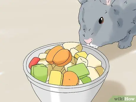 Держите кролика здоровым Шаг 8