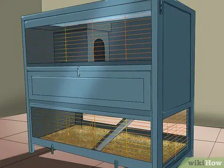 Приучите кролика к себе, шаг 2