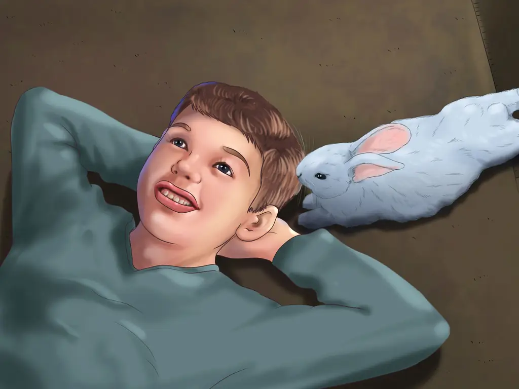 Как приучить кролика к вам: 12 шагов (с картинками)