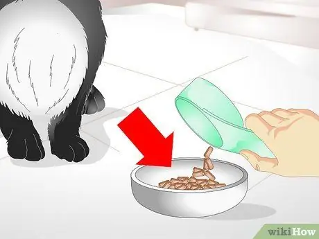 Держи кролика стройным Шаг 10