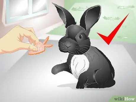 Держи кролика стройным Шаг 11