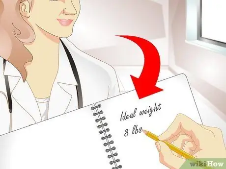 Держи кролика стройным Шаг 12