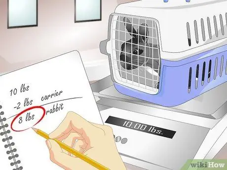 Держи кролика стройным Шаг 13