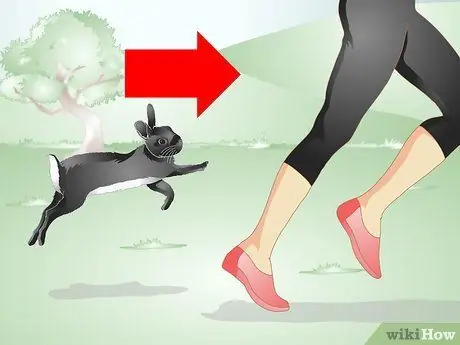 Держи кролика стройным Шаг 3