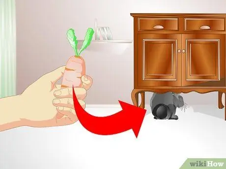 Держите кролика стройным Шаг 4