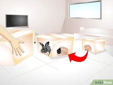 Держи кролика стройным Шаг 5